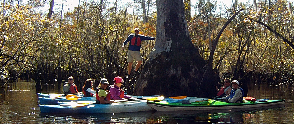 Kayaking the coastal creeks